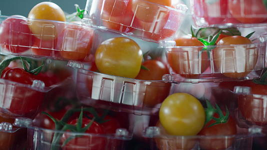 包装工厂番茄盒视频的预览图