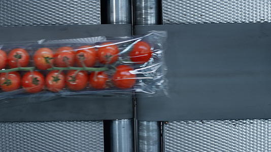 工厂番茄盒包装工艺流水线流水线视频的预览图