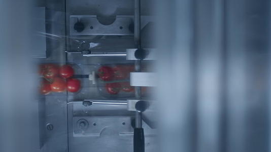 工厂番茄盒包装工艺视频的预览图