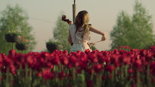 坐在室外春天花园里的大提琴变得面目全非的女人的背影视频的预览图