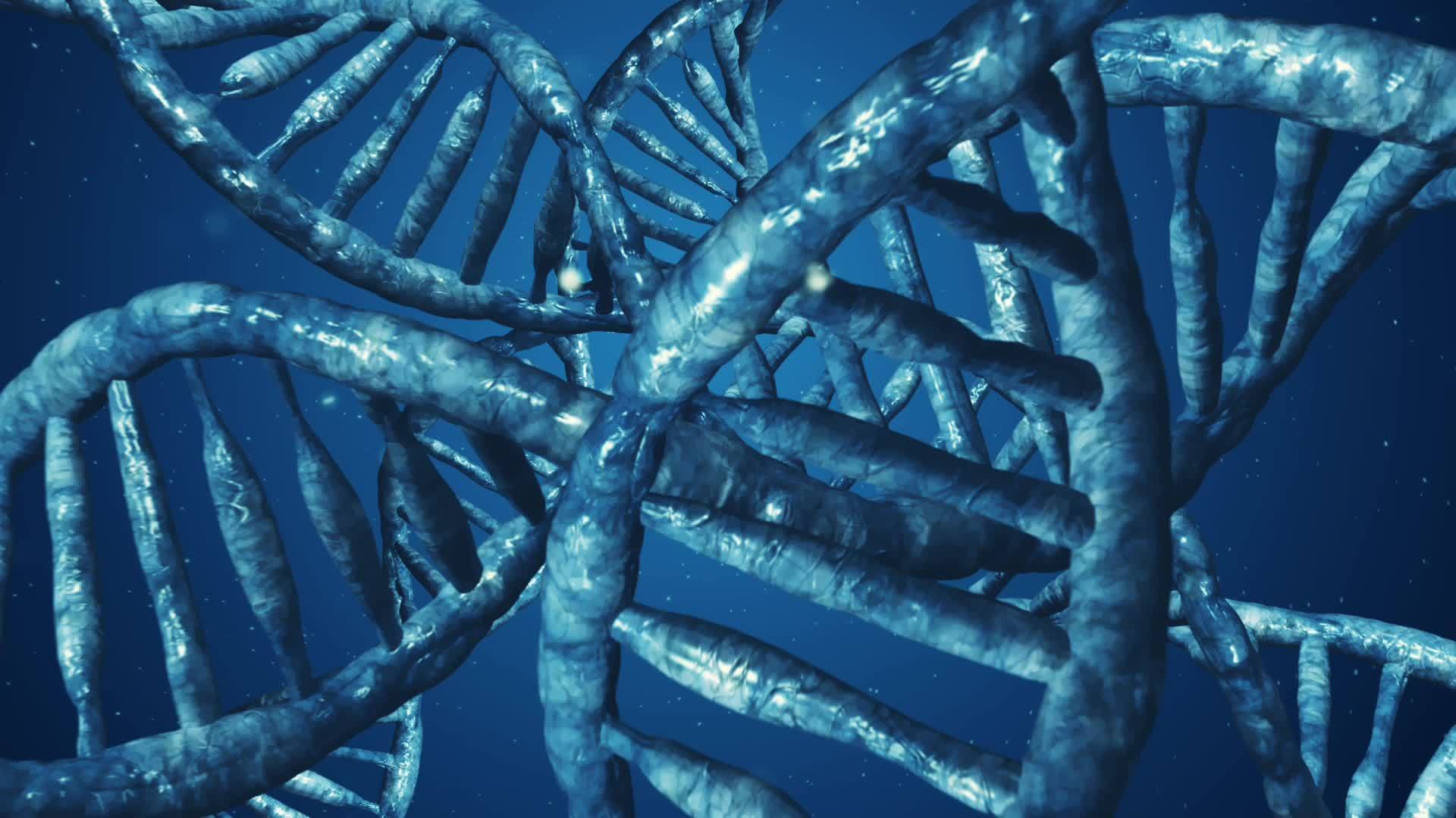 人类DNA视频的预览图
