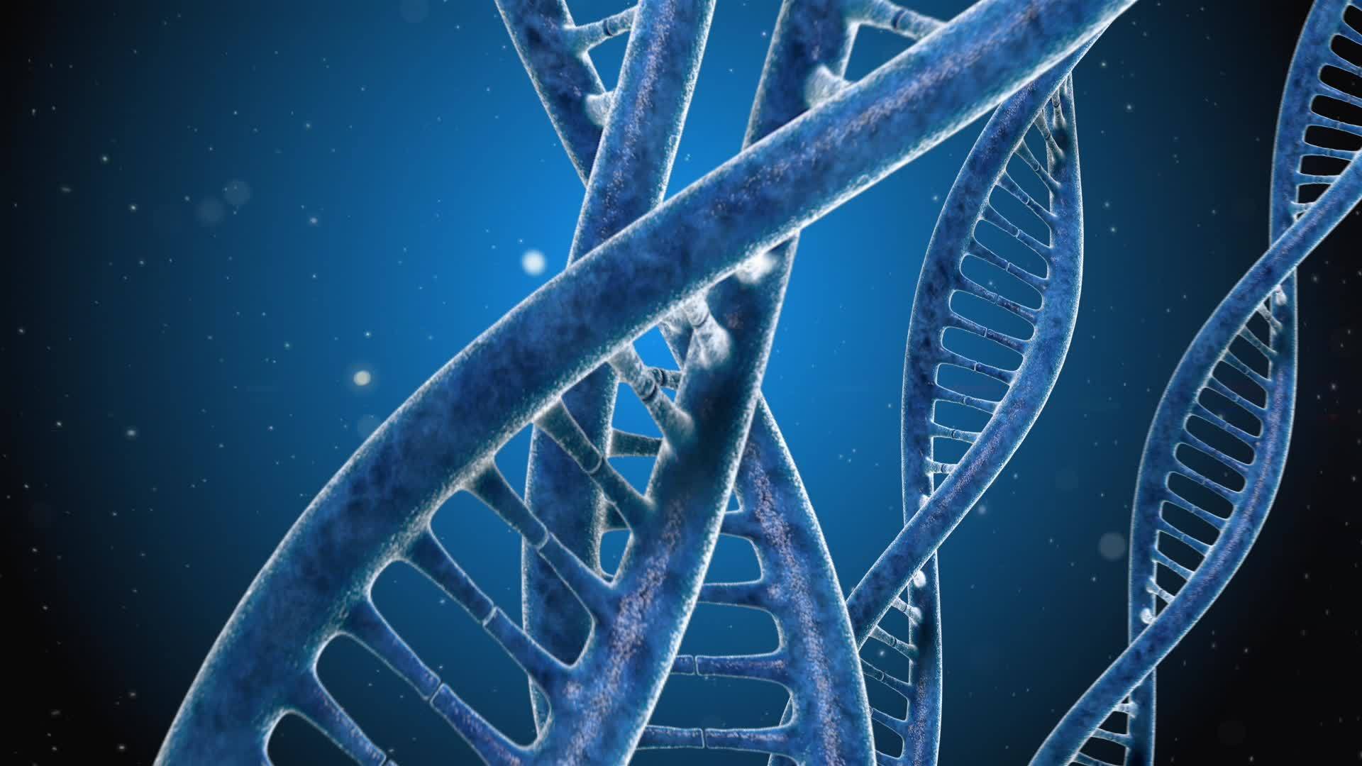 人类的DNA视频的预览图