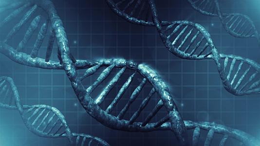 人类DNA细胞周期性视频视频的预览图