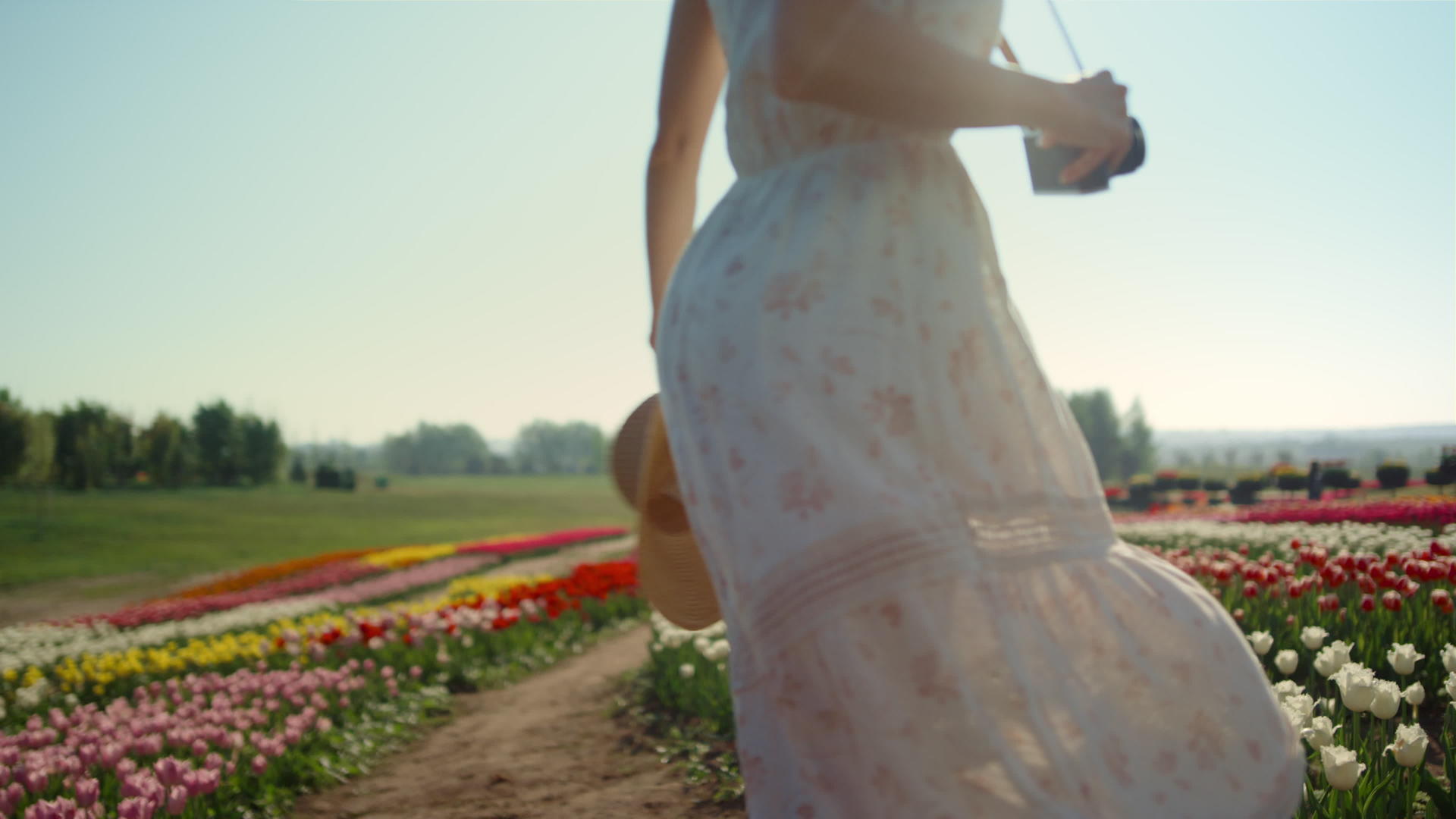 美丽的郁金香花园里带着相机和草帽的年轻女子转来转去视频的预览图