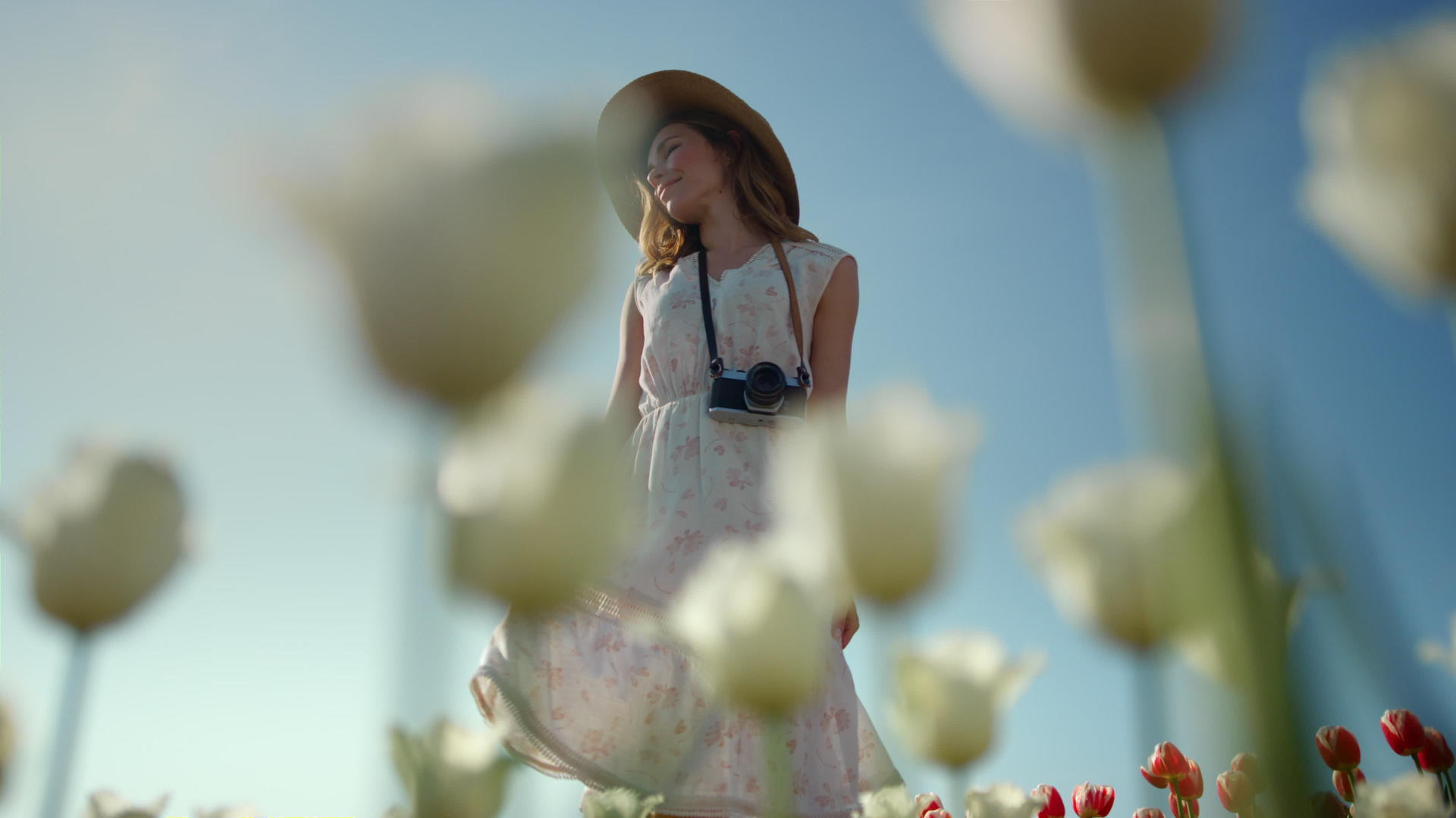 优雅的女士带着相机在鲜花盛开的公园里享受夏天视频的预览图