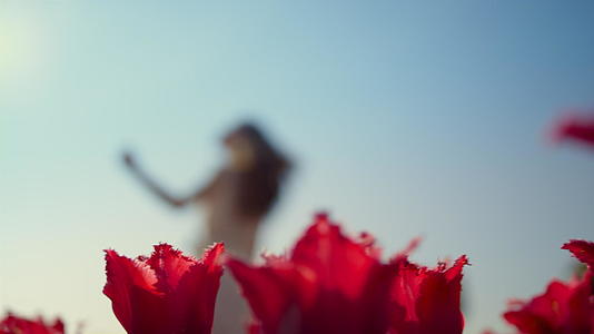 红花背景上的女孩视频的预览图