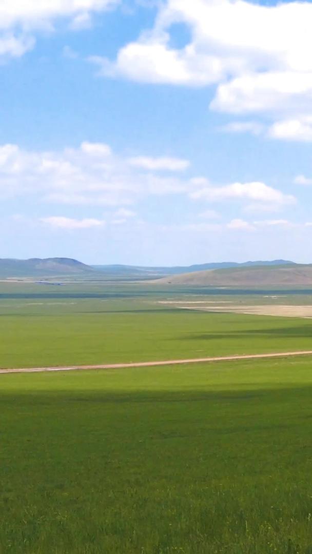 在千里草原上拍摄内蒙古美丽的马匹视频的预览图