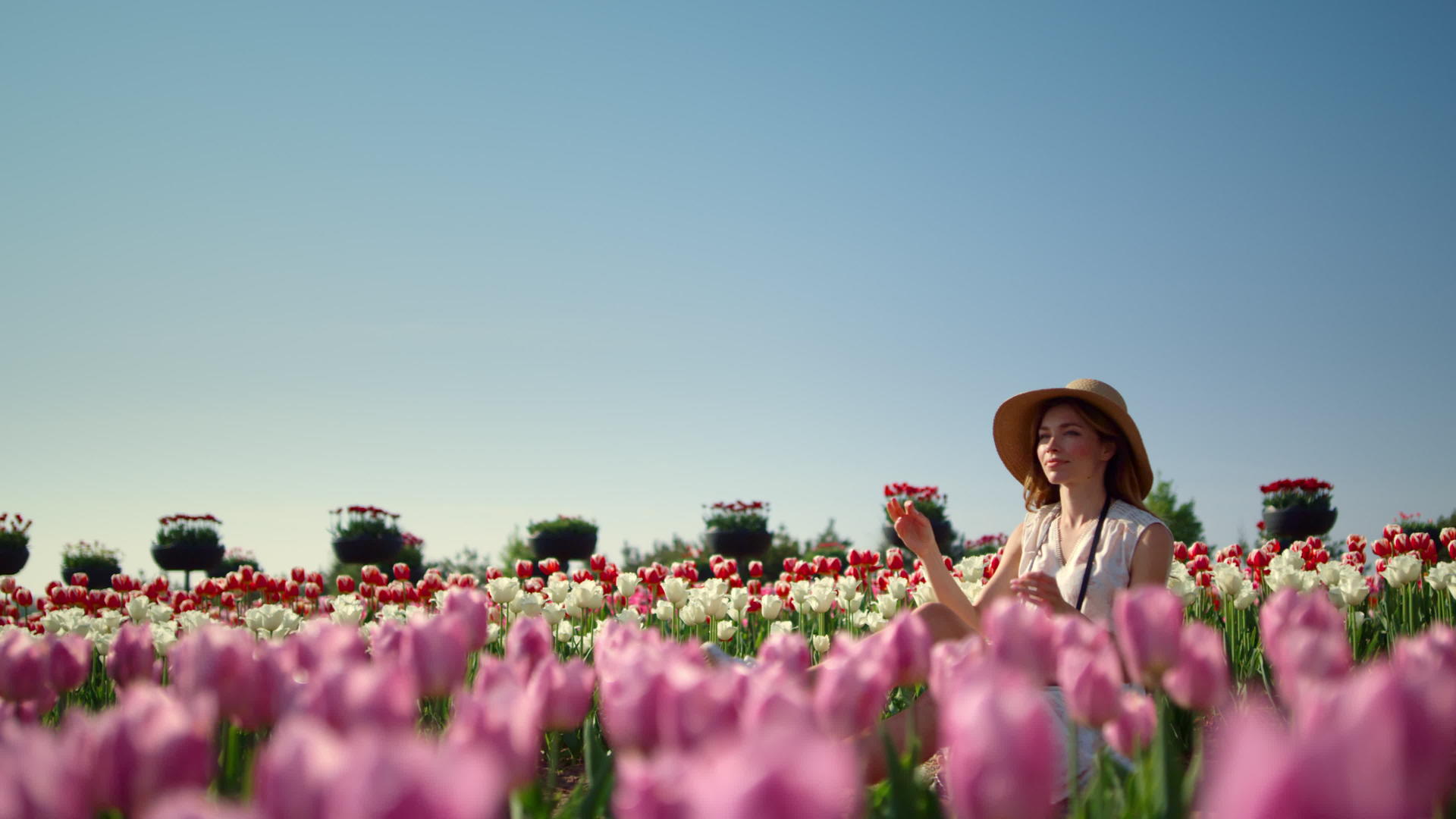 年轻而温柔的女人戴着帽子在盛开的花景中享受阳光视频的预览图