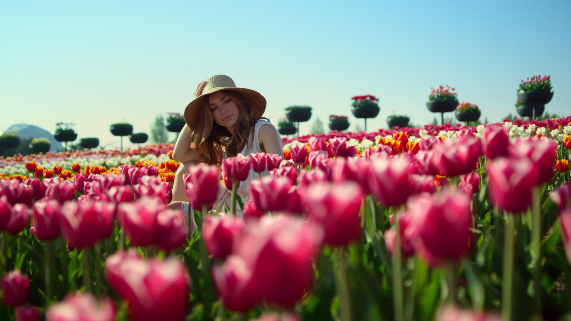 美丽的姑娘坐在红郁金香的位置上视频的预览图