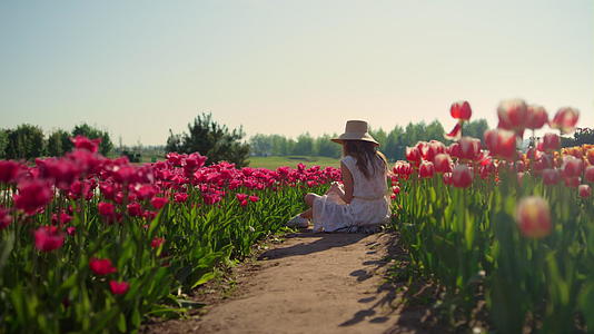 一个戴着帽子的女孩坐在花丛中沿着红色郁金香田的道路移动视频的预览图