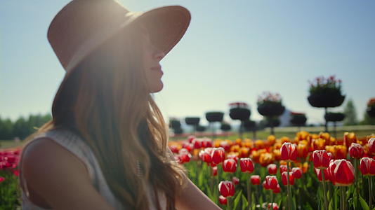 在明媚的阳光下模特们在春天的花田里视频的预览图