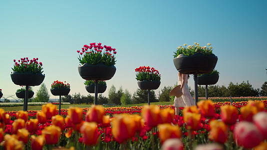 陌生女人穿着裙子在盛开的花朵中穿过明亮的夏日花园视频的预览图