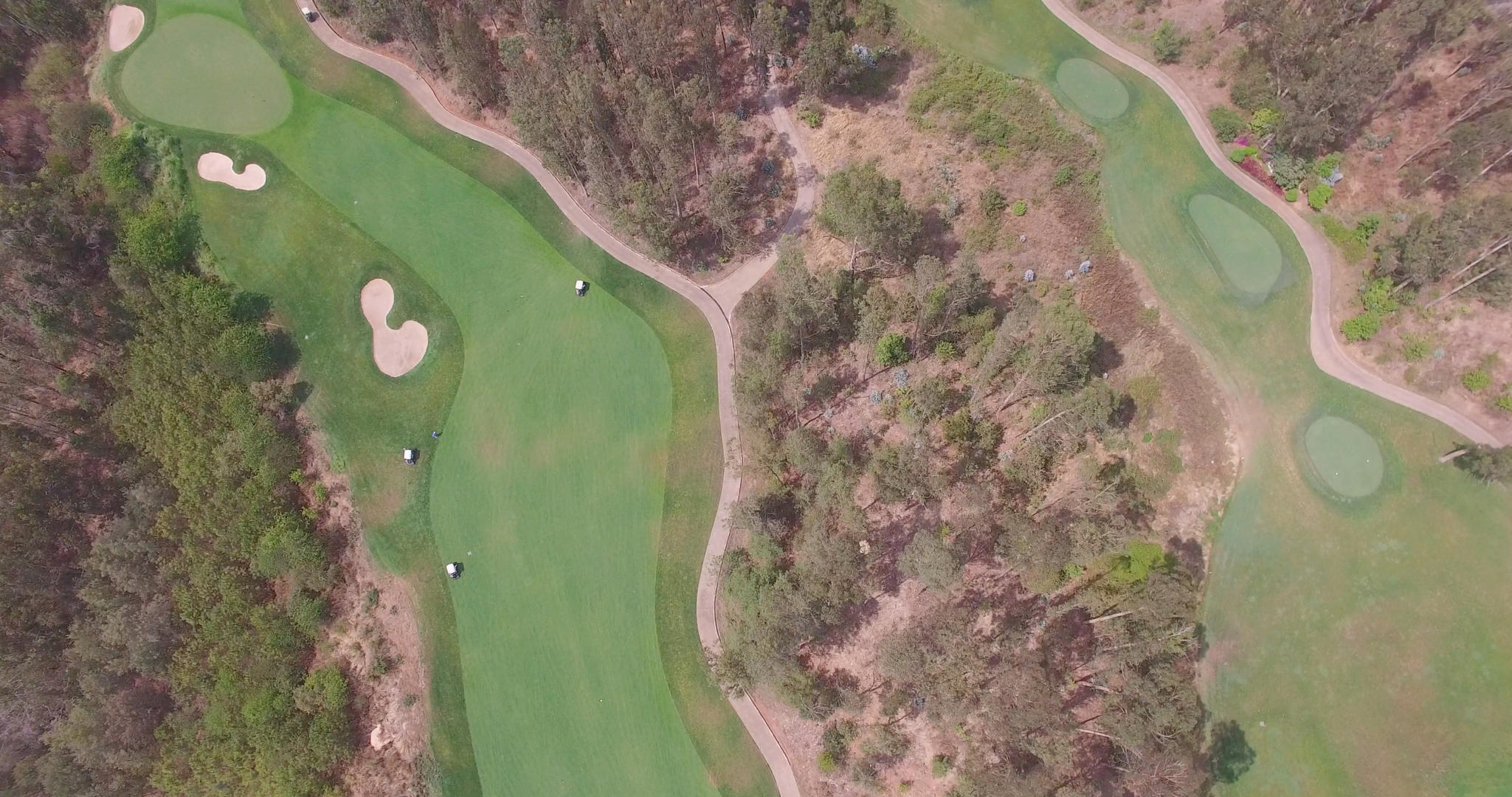 4k高清高尔夫球场俯拍视频的预览图