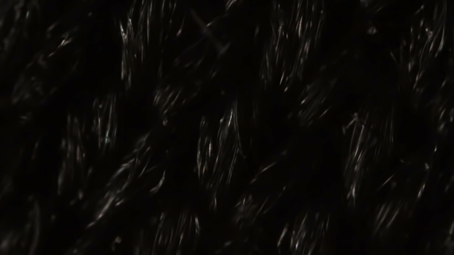 显微镜下的黑尼龙网布纤维视频的预览图