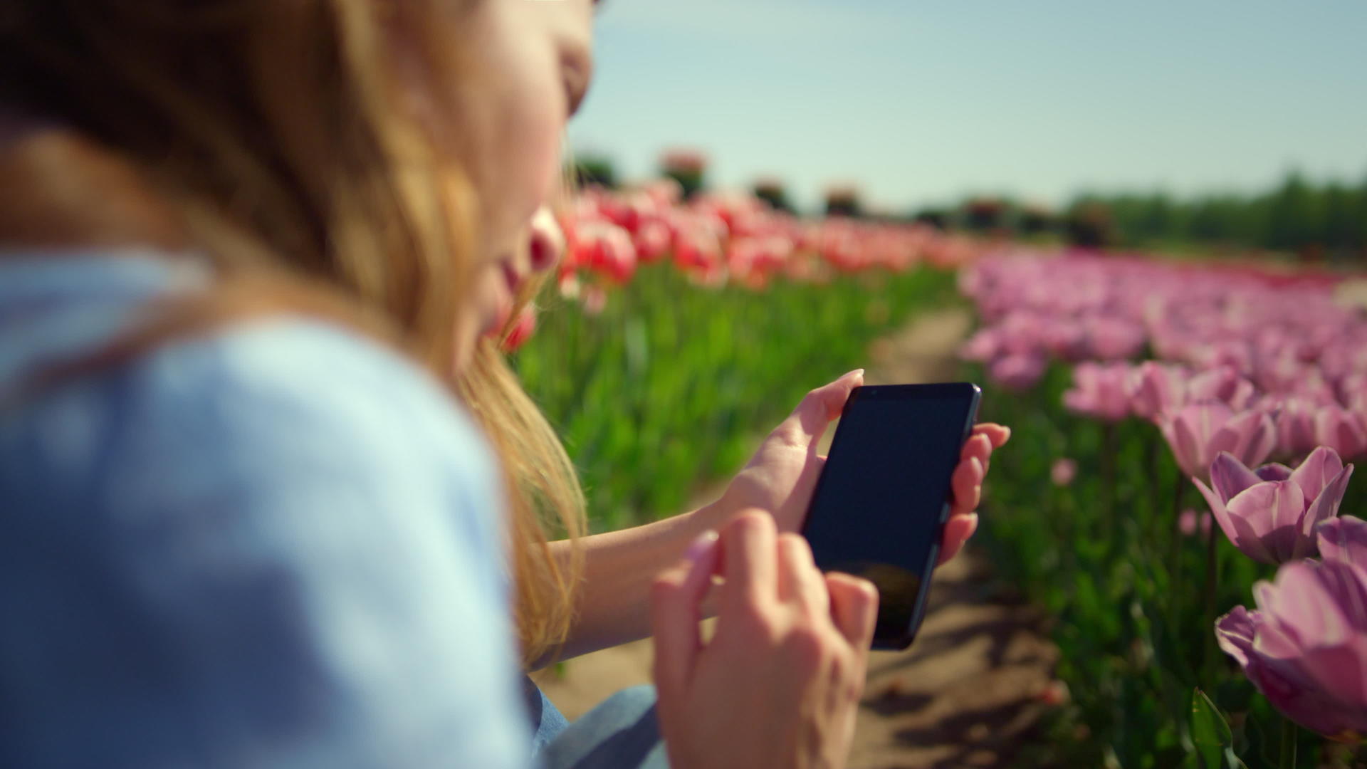 年轻女性在花田里用手指触摸智能手机屏幕的图片视频的预览图