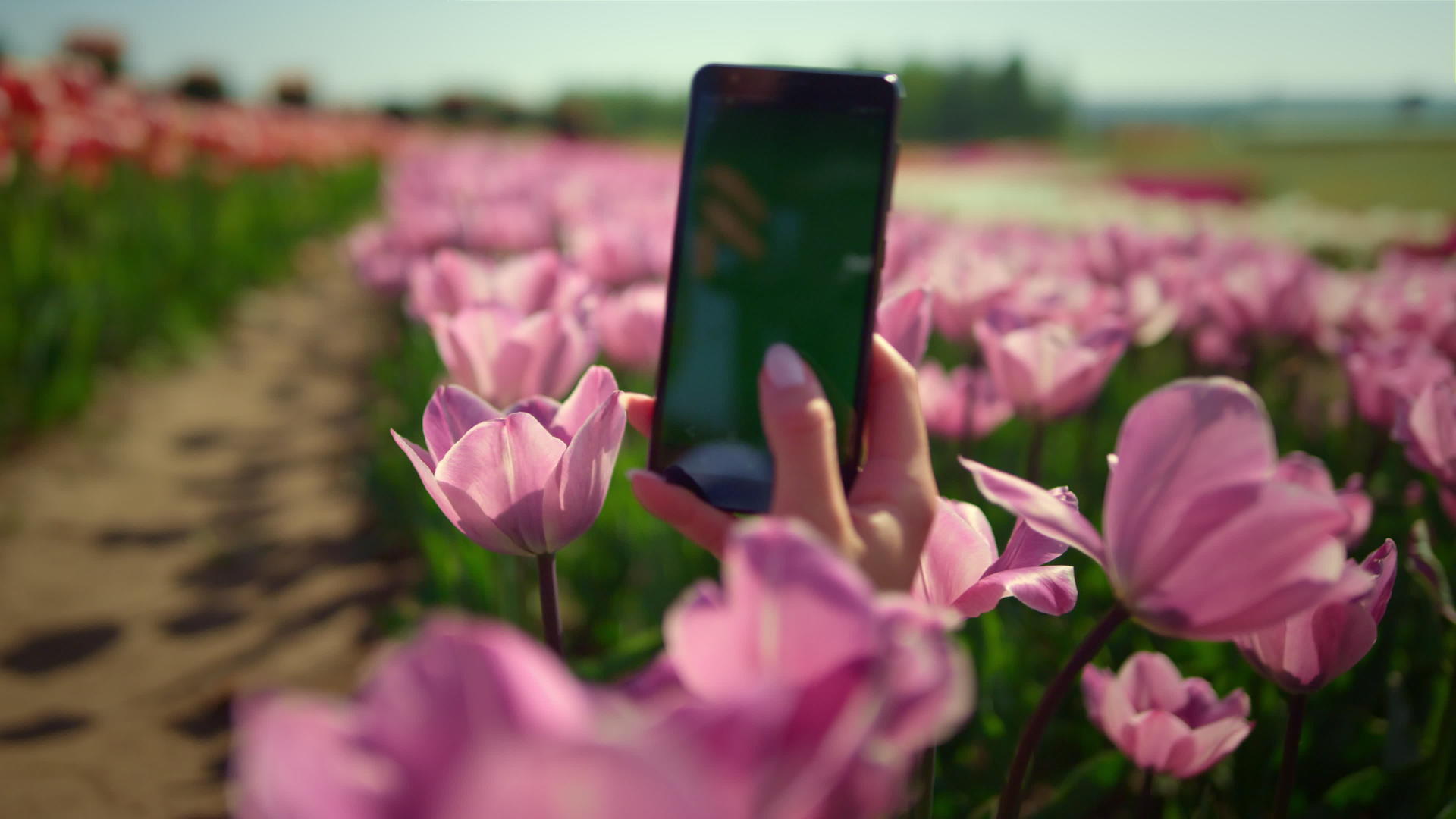 女子在花丛中打电话拍照视频的预览图