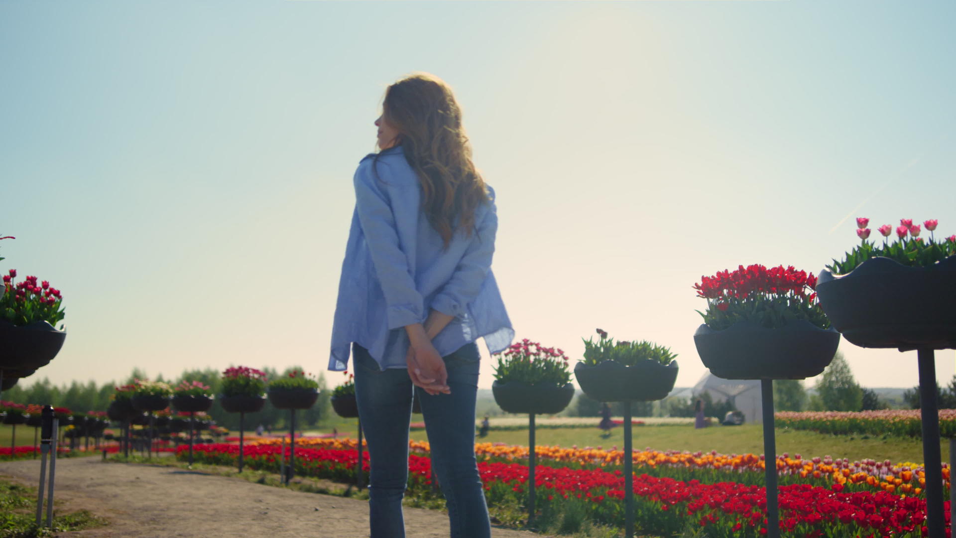 一个轻松的女孩背着相机在阳光下的夏日花卉公园散步视频的预览图