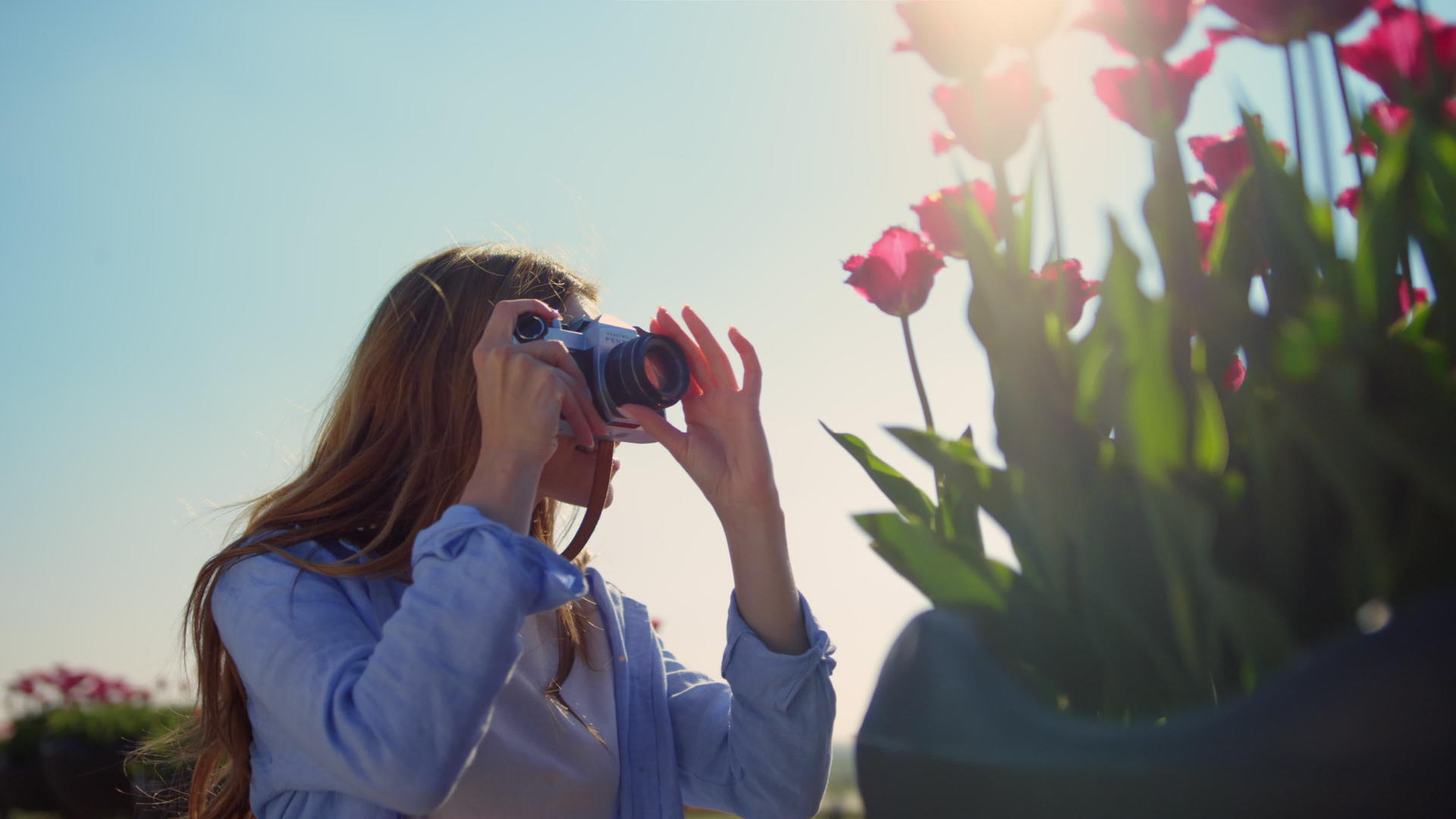 特写女性在阳光下拍摄郁金香照片视频的预览图