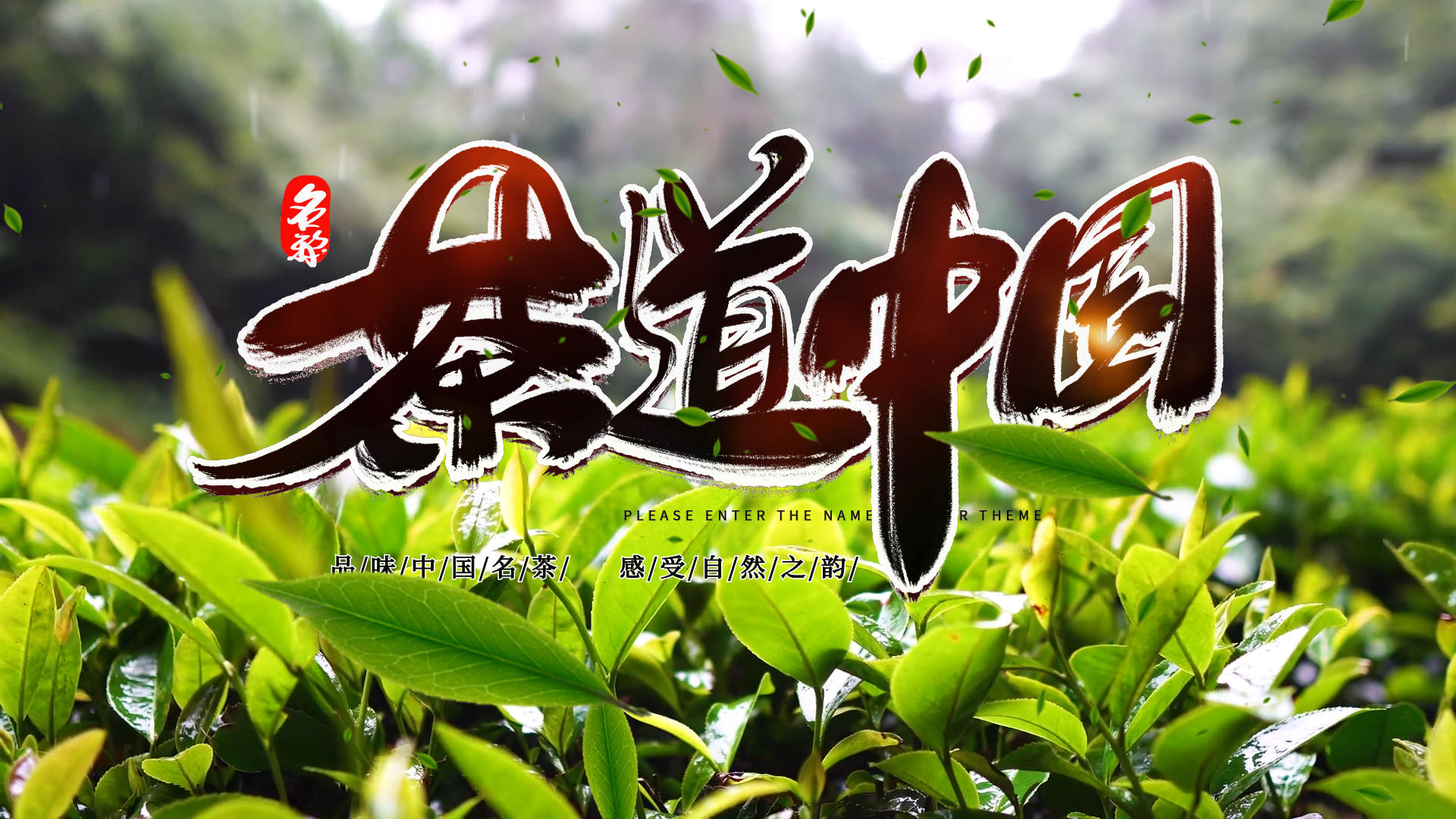 水墨茶道文化清新绿色片头AE模版视频的预览图
