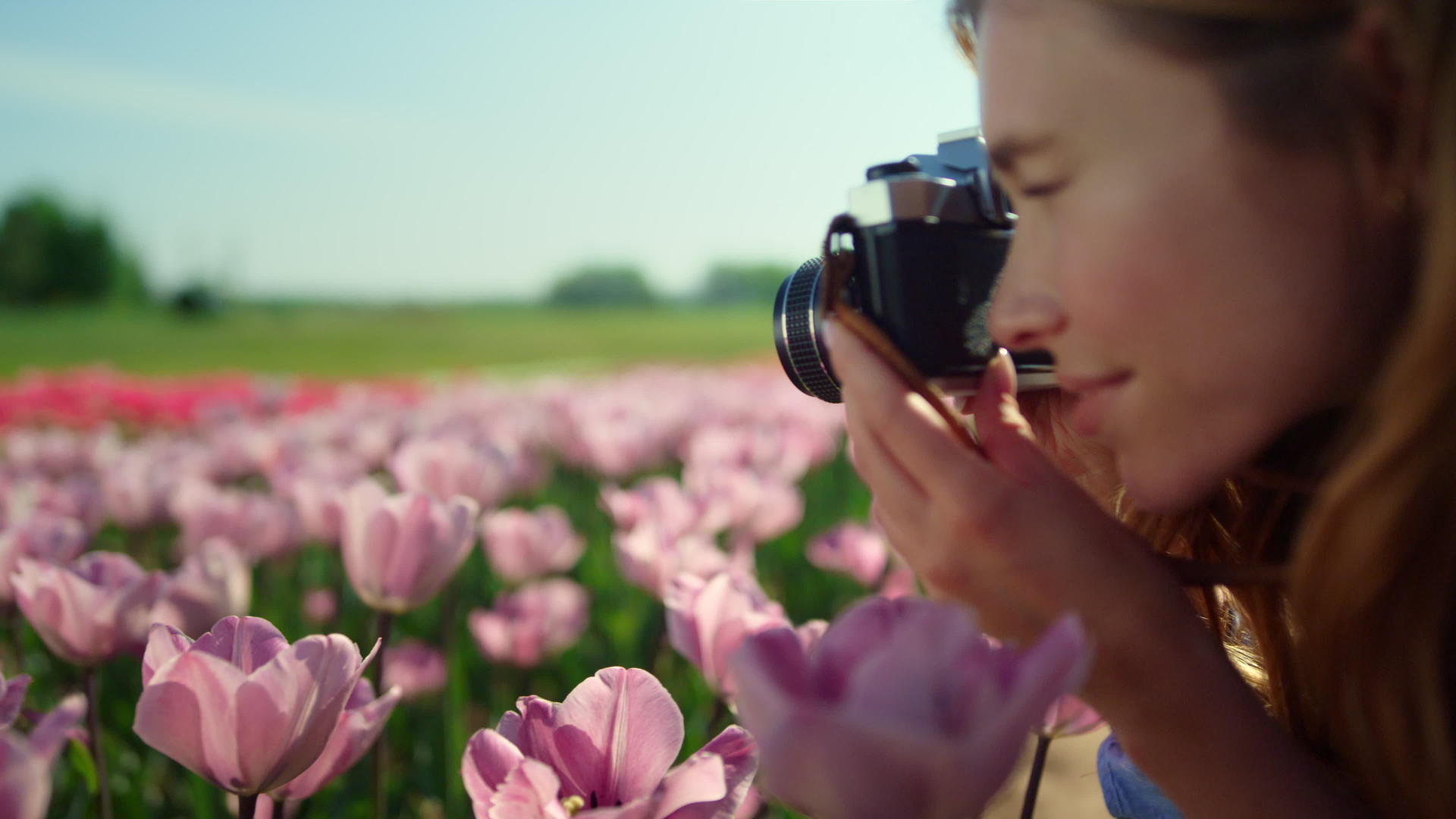 女性侧面拍摄花卉的特写照片视频的预览图