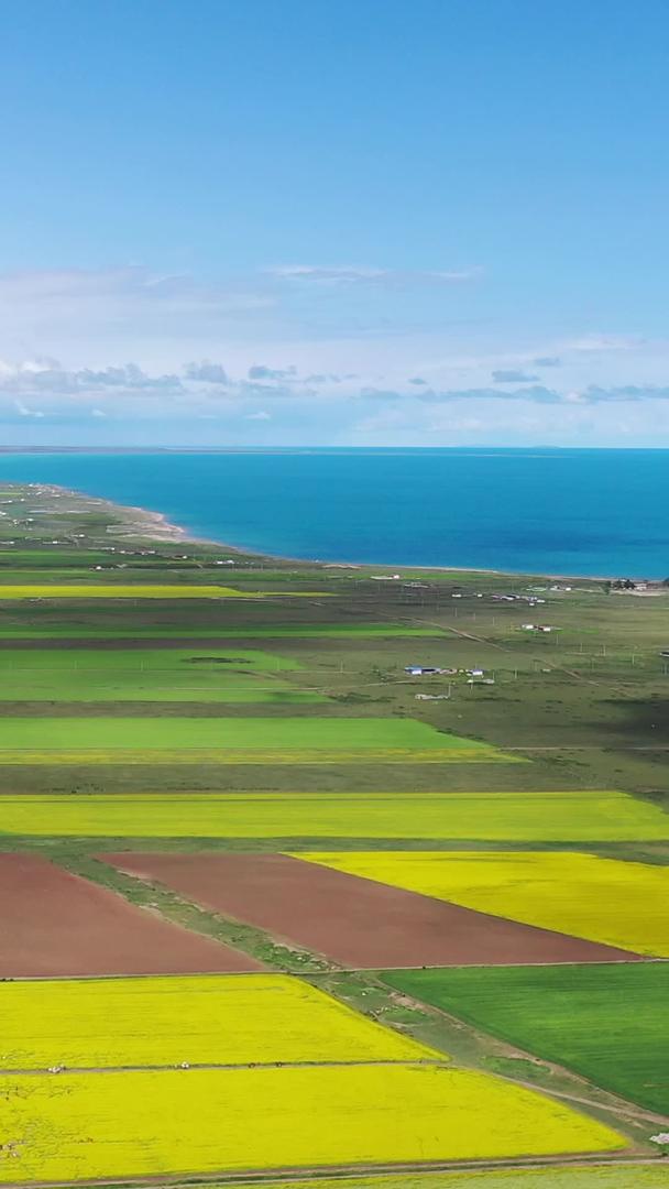 夏季青海湖风光航拍视频视频的预览图