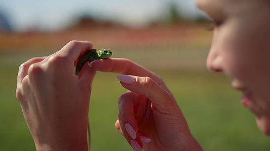 绿蜥蜴是室外女性手中的特写视频的预览图
