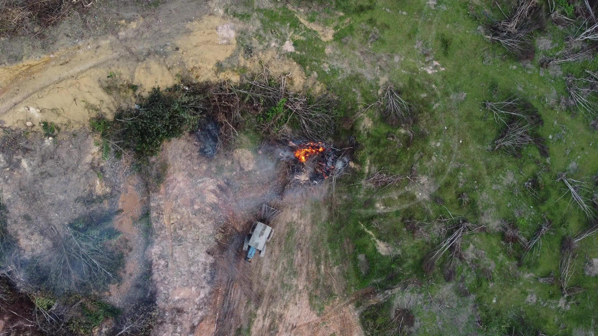 拖拉机将光树推向上下纵火视频的预览图