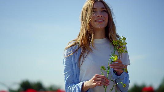 幸福的女人留着漂亮的长发在蓝天的背景下拿着野生植物视频的预览图