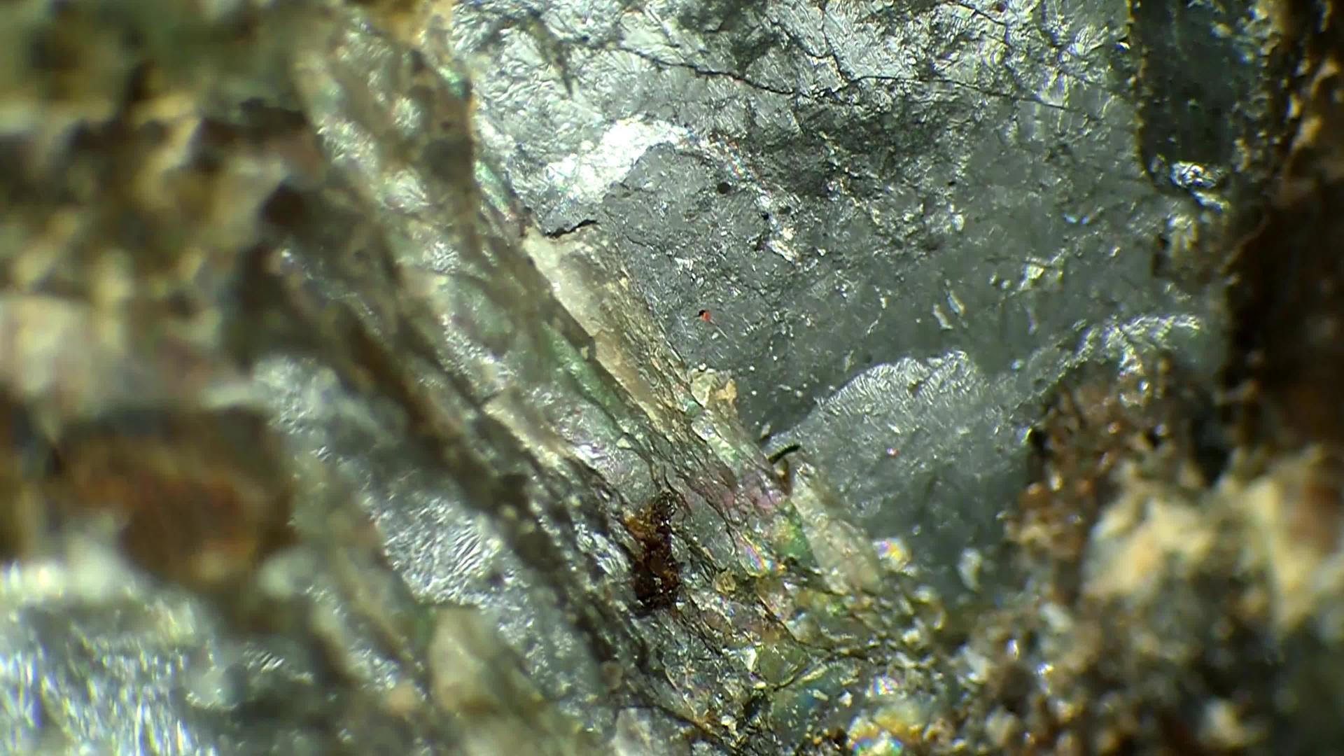 拉布拉多锡石在大型镜头中含有沙子视频的预览图