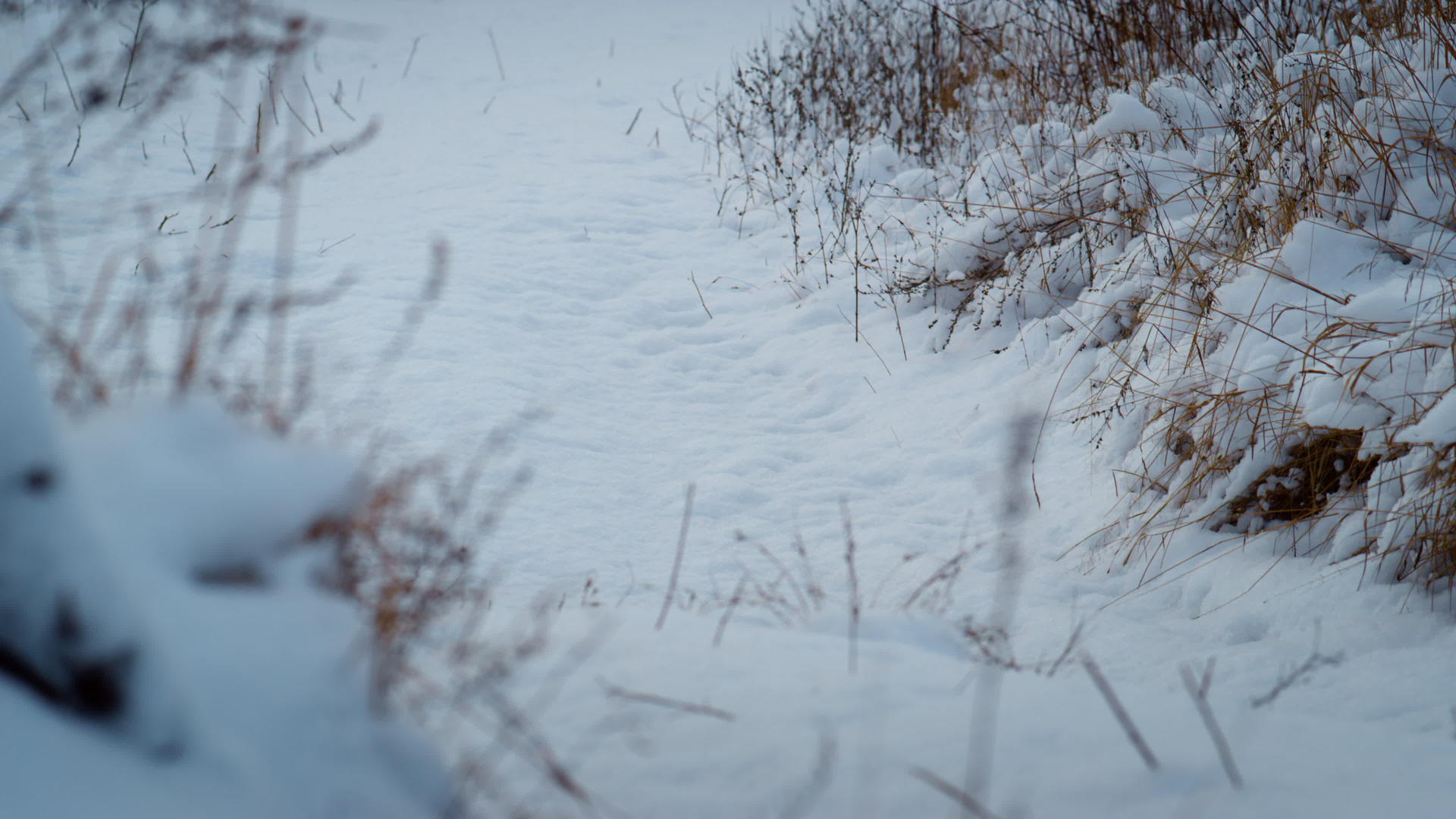 宁静的风景白雪在干草上视频的预览图