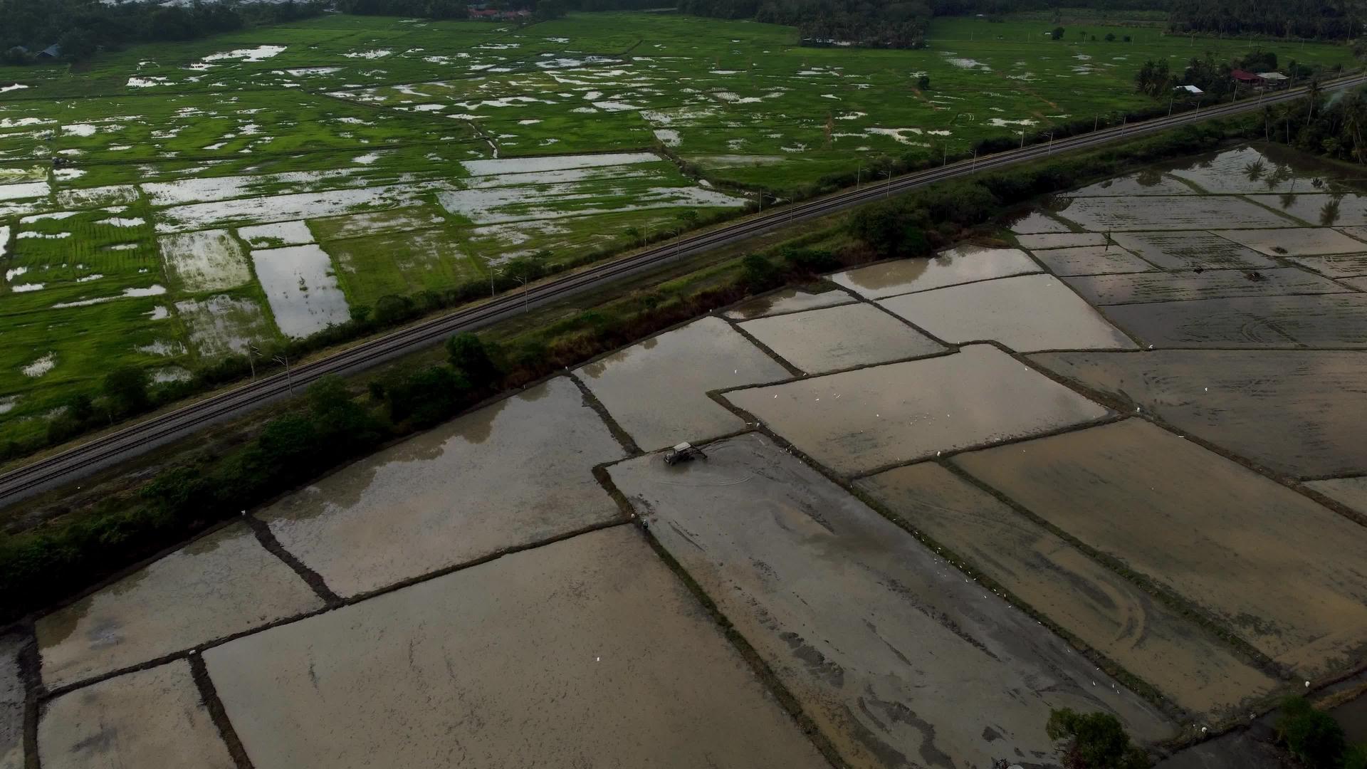 稻田带铁路公路视频的预览图