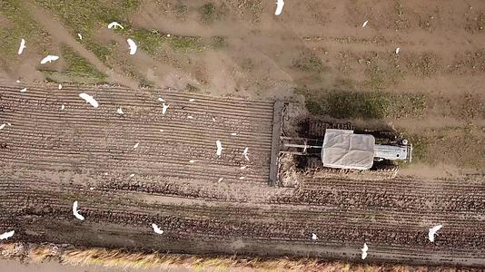 农民用拖拉机种植土壤视频的预览图
