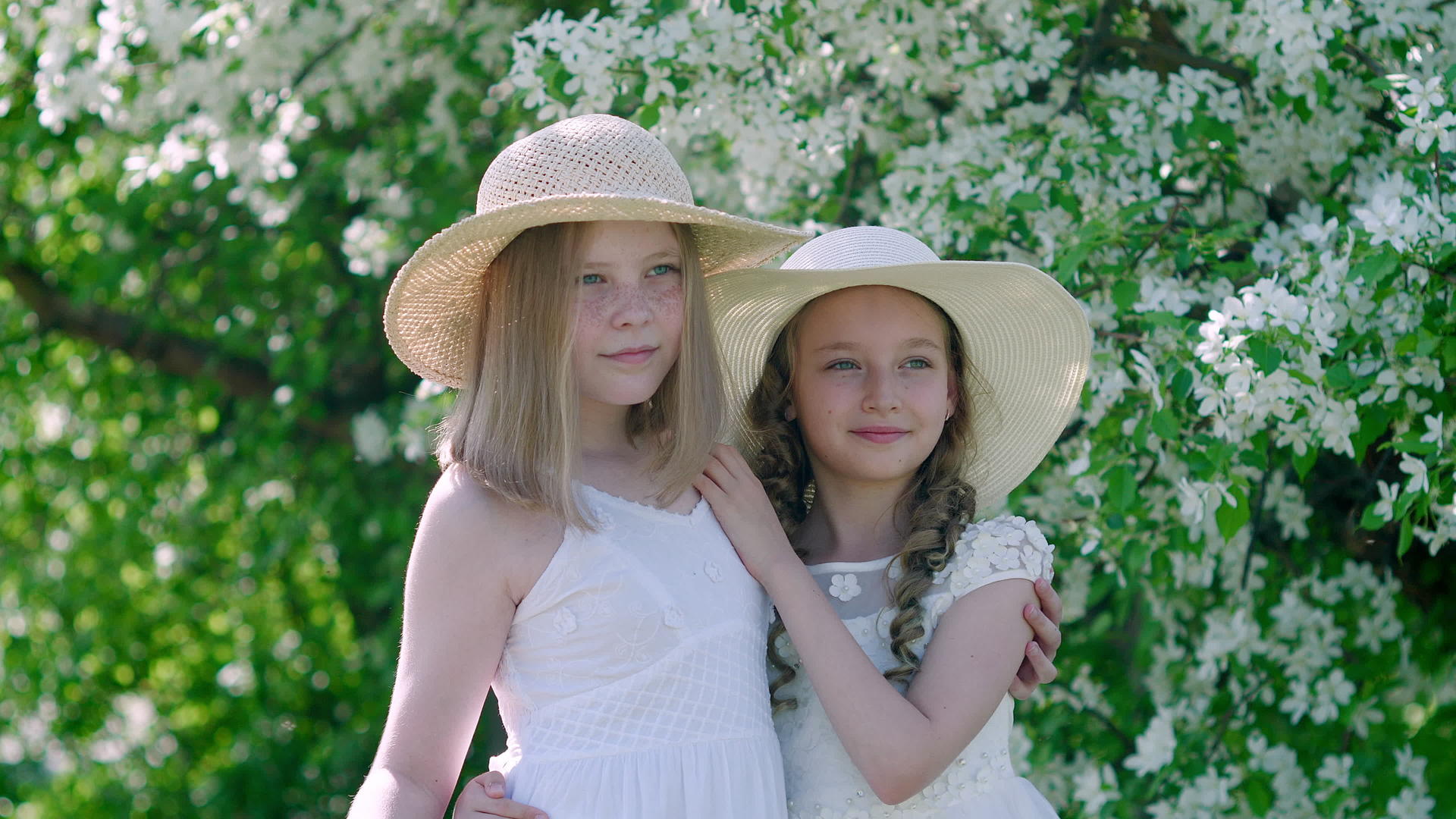 快乐的女朋友们在阳光明媚的假期拥抱着夏天的果园Summer视频的预览图