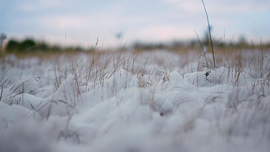 冬天田野里积雪的草甸视频的预览图