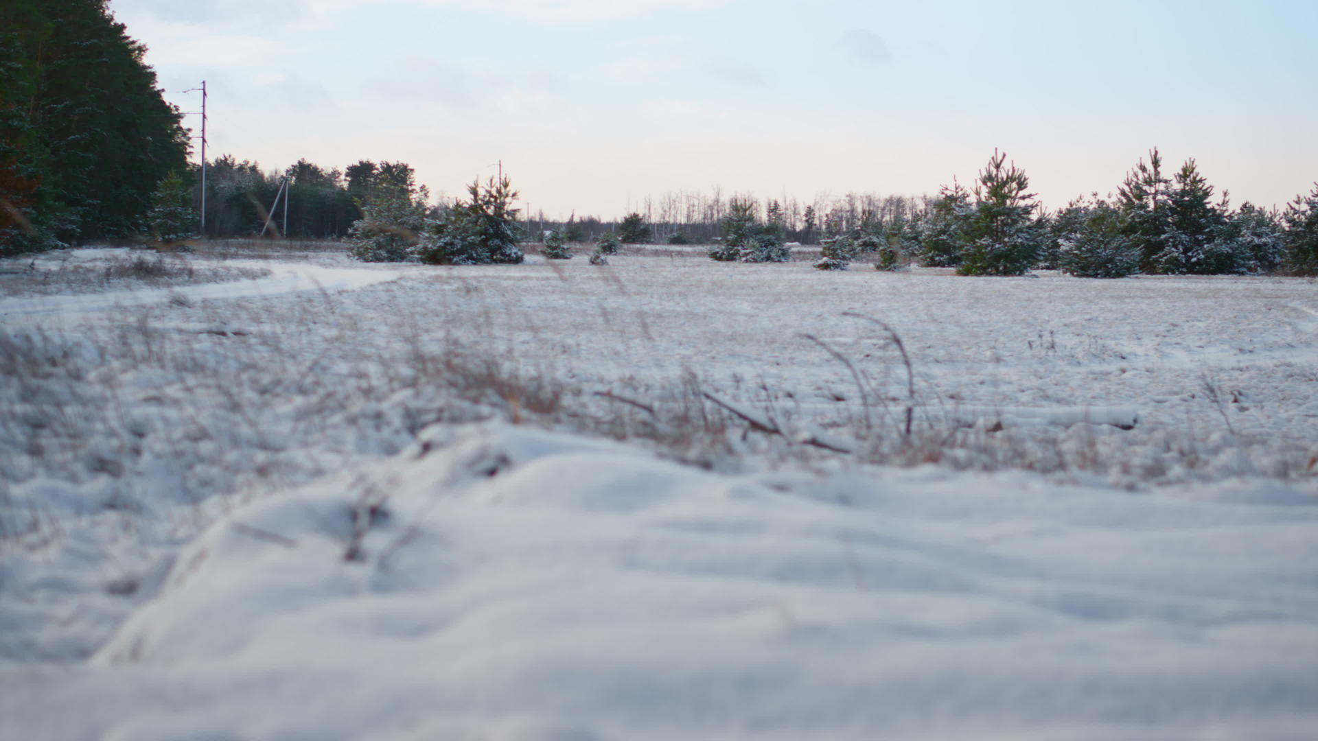 雪覆盖草甸地面和干燥植被视频的预览图