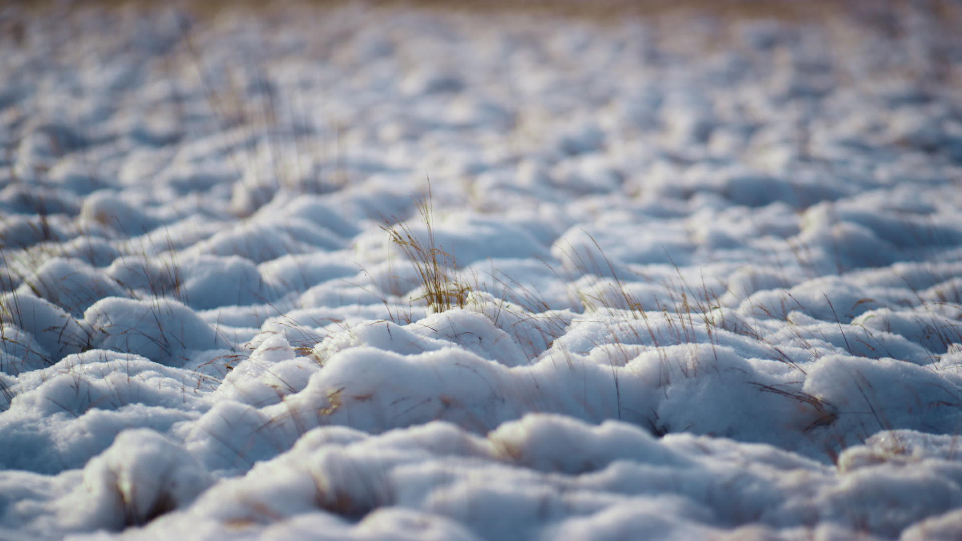 寒冷的冬季雪域干草视频的预览图