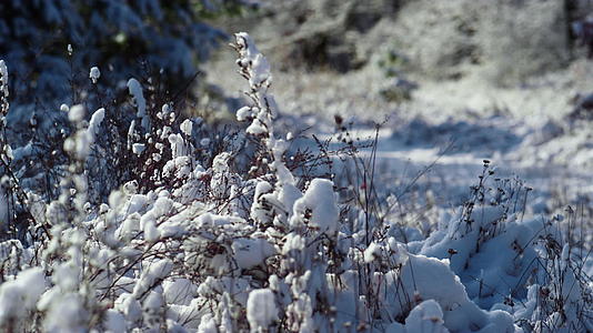 冰冻的田野上覆盖着白雪的干草视频的预览图