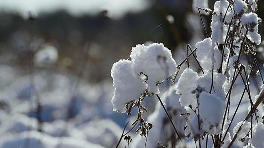 雪覆盖着冰冻的田野阳光明媚的冬日干草视频的预览图