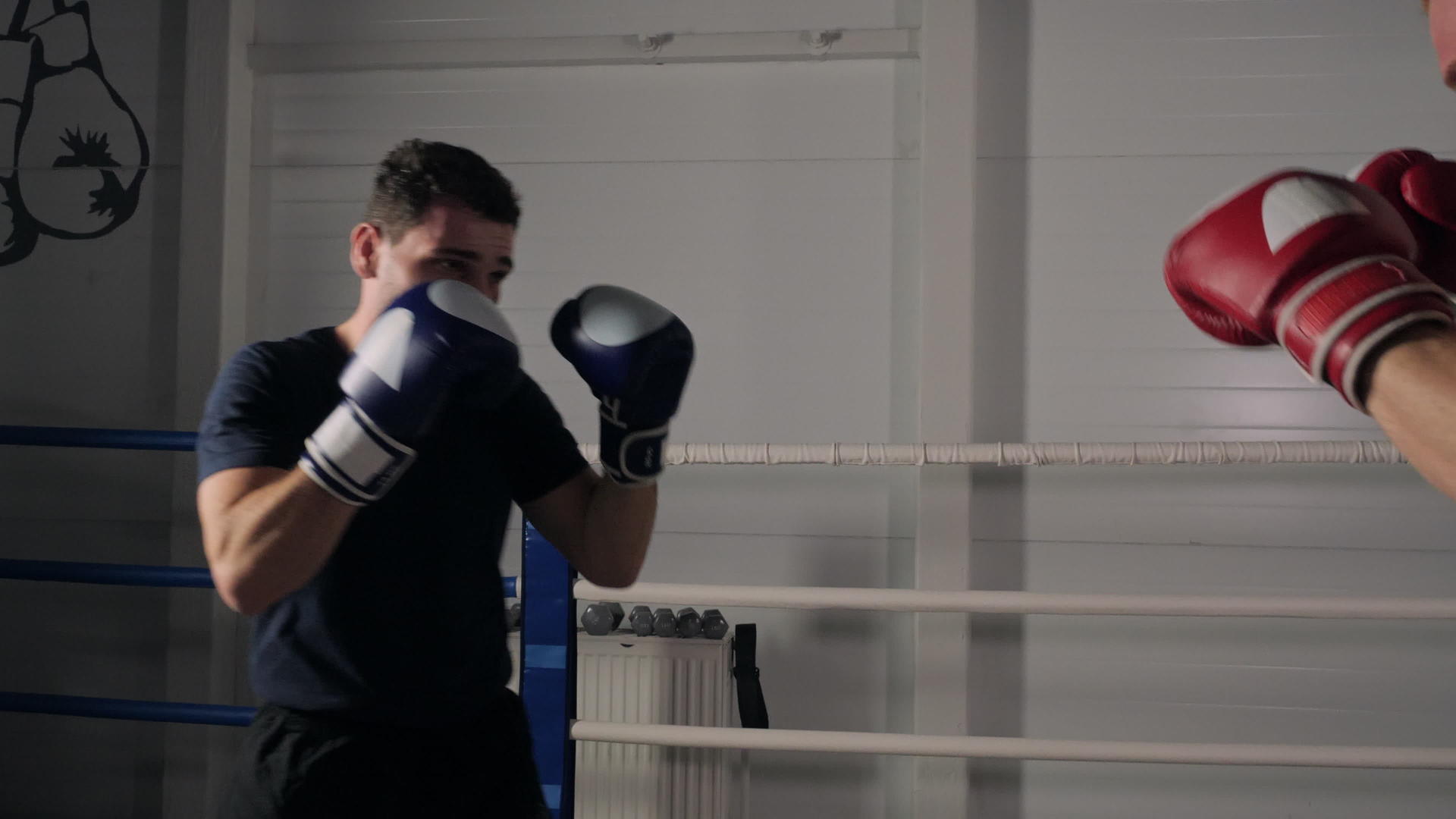 两名拳击手在健身俱乐部的拳击台上与男性战斗机搏斗视频的预览图
