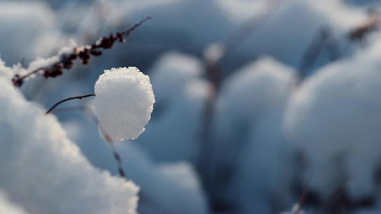 特写镜头结冰的草棍在白雪下视频的预览图