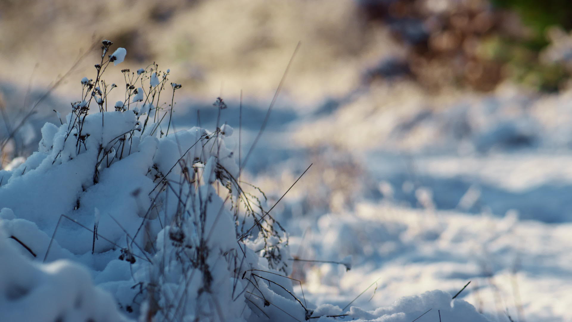 白雪皑皑的天然干草覆盖着白雪覆盖视频的预览图