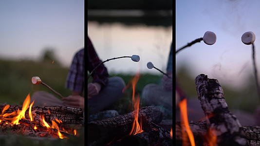 年轻的观光客人烤棉花糖在露营附近的露营火炉上拼凑起来视频的预览图