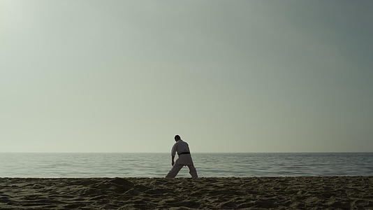 在海边练习跆拳道的男人视频的预览图
