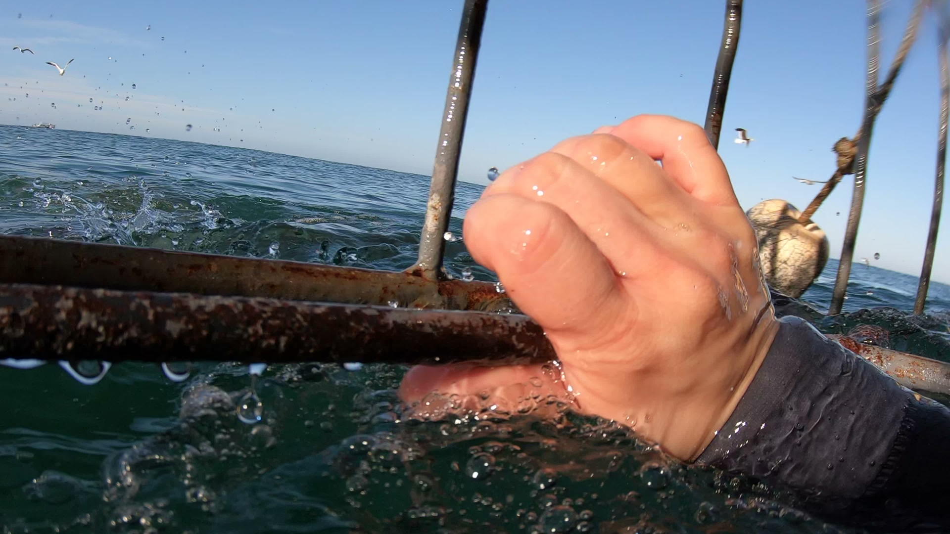 在非洲南部的激动人心的经历中鲨鱼笼鱼潜水视频的预览图