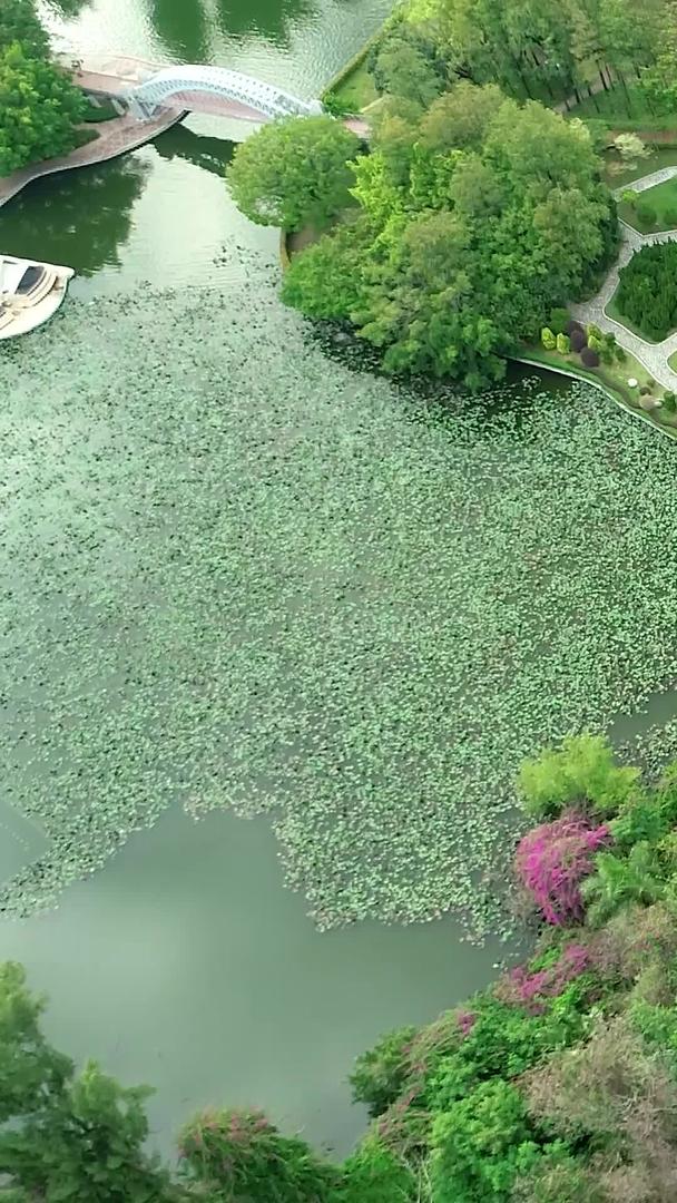 深圳世界之窗景区航拍视频的预览图
