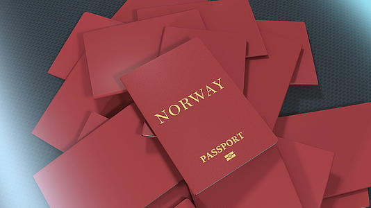 艺术家制作Norway旅行护照视频的预览图