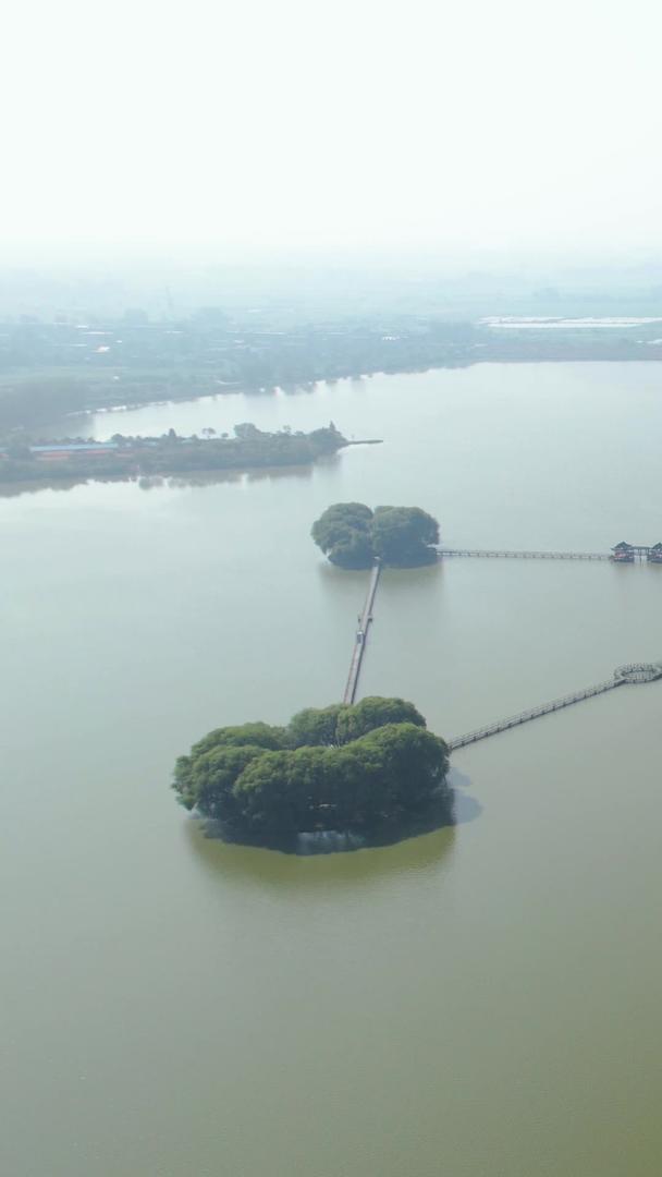 安徽省阜阳八里河旅游区湖中岛航拍视频视频的预览图