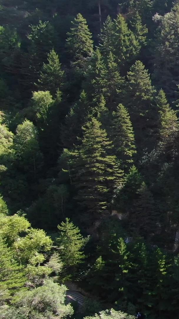 恒山旅游景点寝宫航拍视频视频的预览图