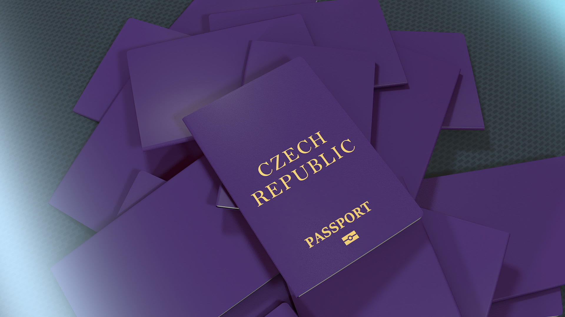 捷克共和国旅行护照由艺术家制作视频的预览图