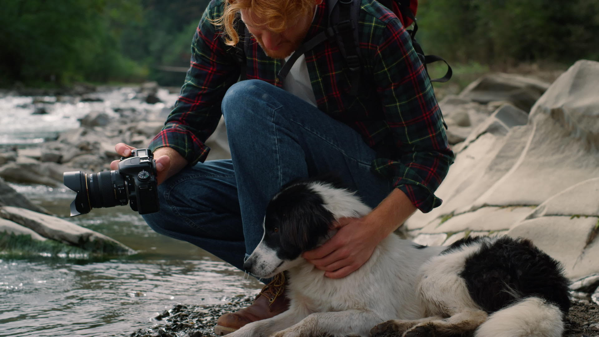 摄影师抚摸河边的狗和狗视频的预览图